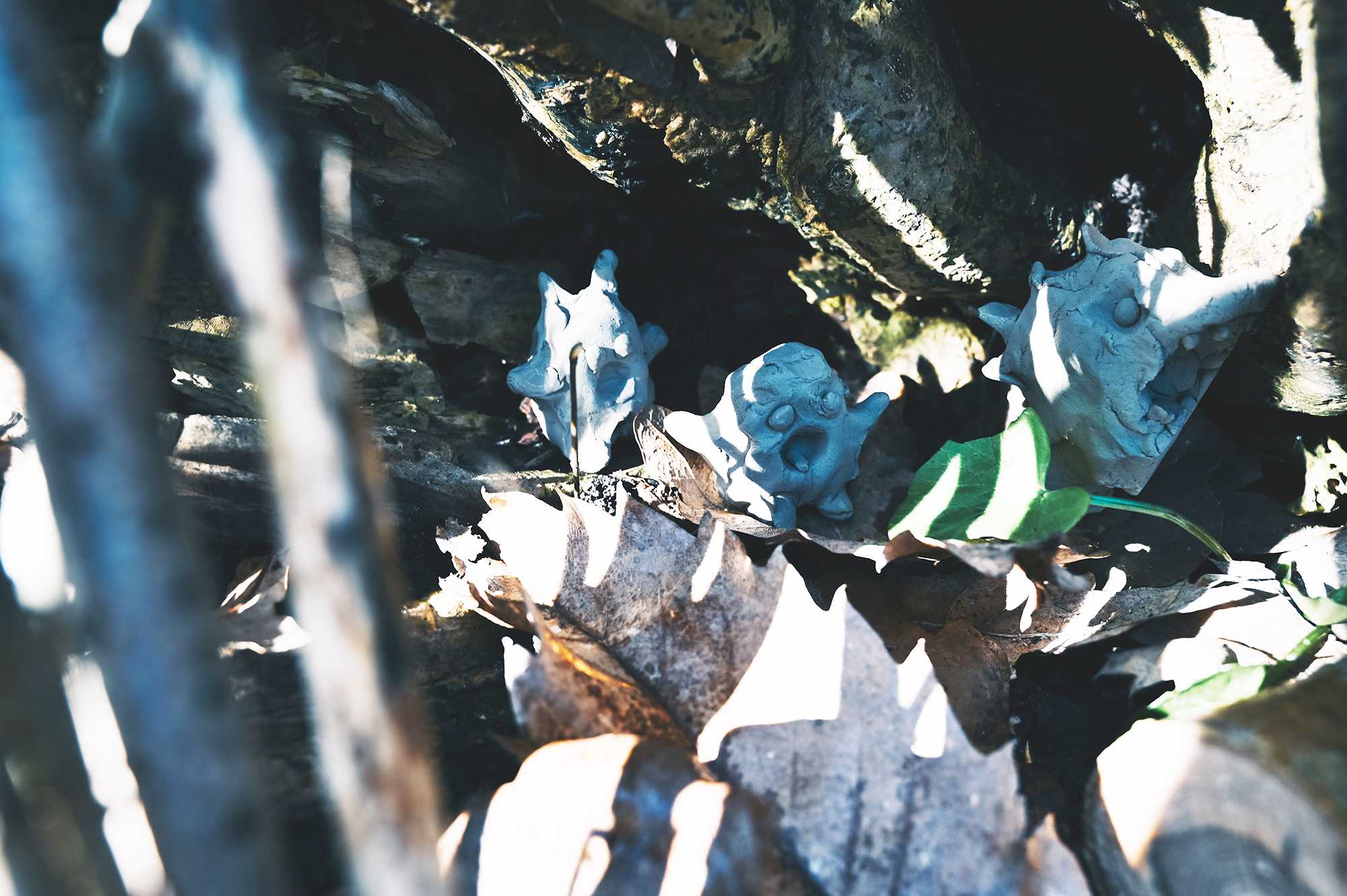 Skab en bolig til dit væsen