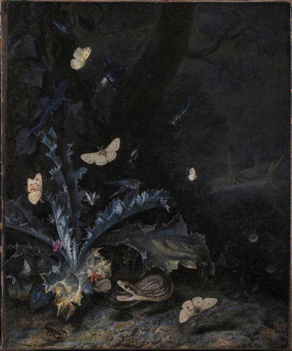 Stilleben med tidsel og slange