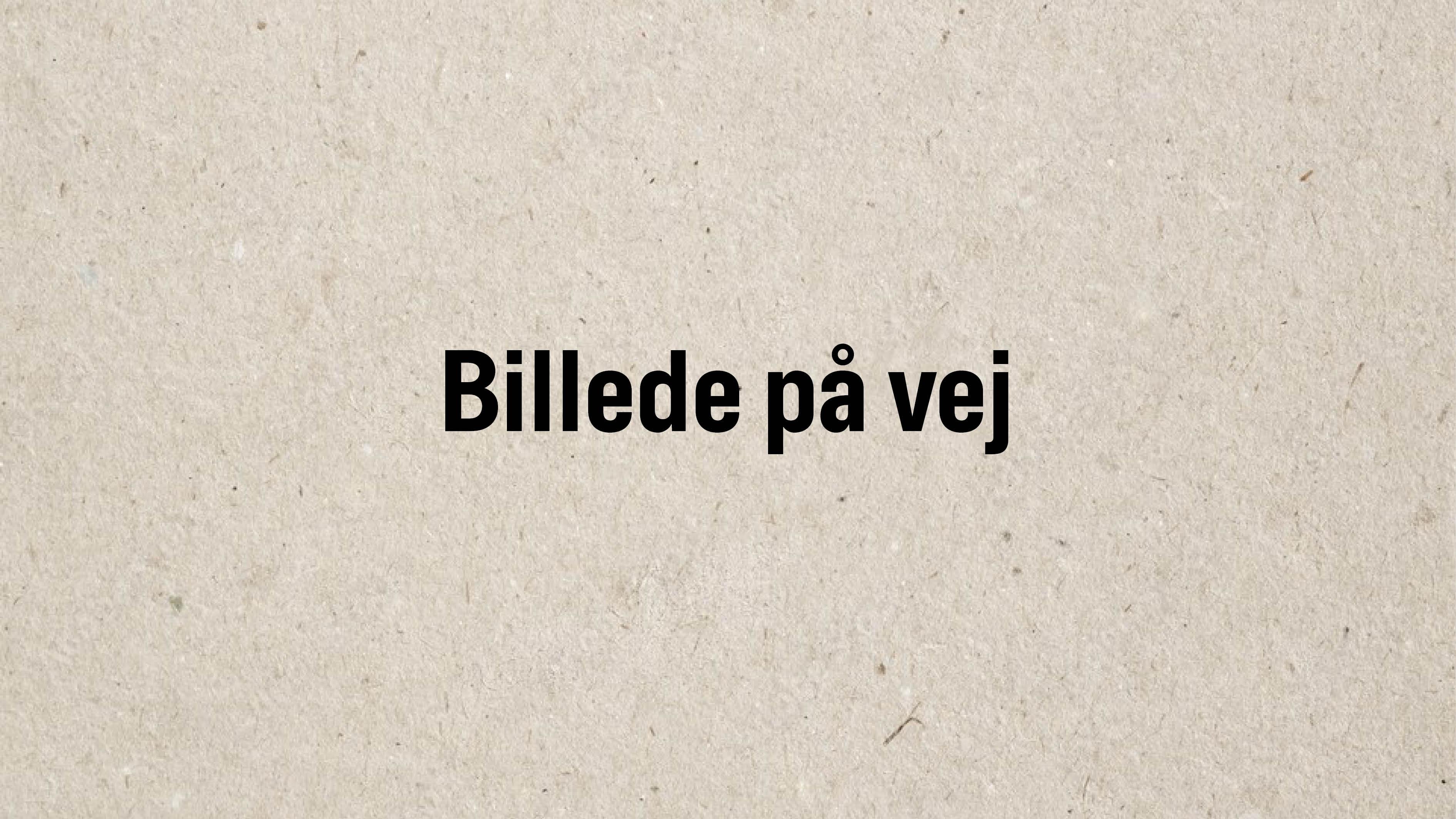Et dansk landskab?