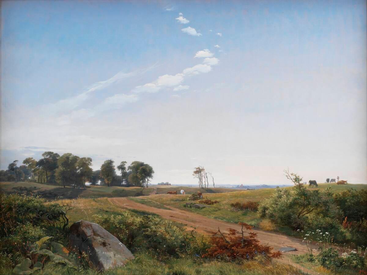 Sjællandsk landskab. Åben egn i det nordlige Sjælland