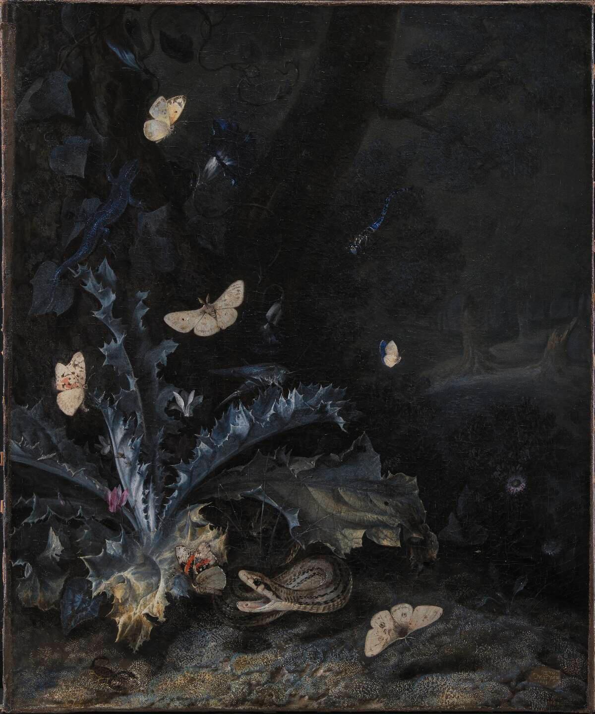 Stilleben med tidsel og slange